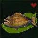 Steamed Fish